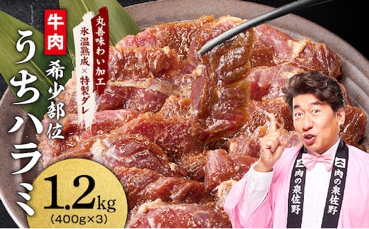 【希少部位】牛肉 うちハラミ 1.2kg 小分け 400g×3P【スピード発送 氷温熟成×特製ダレ 味付き 牛肉 訳あり 不揃い 焼肉 BBQ 野菜炒め】 mrz0252