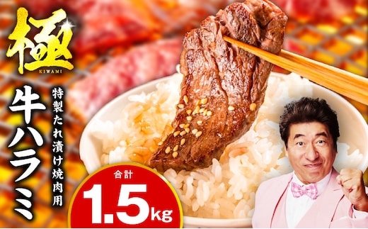 牛肉 ハラミ 1.5kg 小分け 300g×5P【氷温熟成×特製ダレ 味付き 牛肉 訳あり 不揃い 焼肉 BBQ 野菜炒め 圧倒的企業努力】 mrz0270-1