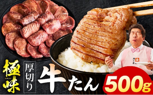 厚切り牛たん 500g【氷温熟成×旨塩ダレ 味付き 訳あり サイズ不揃い 500g 小分け 焼くだけ 焼肉】 mrz0282