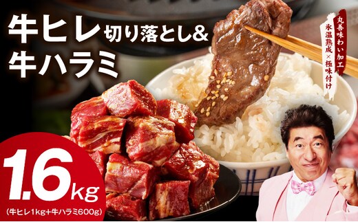 【氷温熟成×特製ダレ】牛ヒレ 1kg＋牛ハラミ 600g 合計1.6kg【味付き 訳あり サイズ不揃い 小分け】 mrz0313