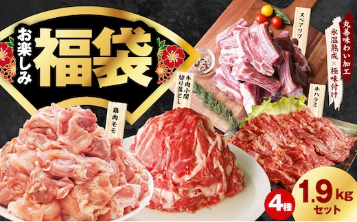 肉福袋 4種 1.9kg 焼肉セット（牛肉 切り落とし／牛ハラミ／豚肉 スペアリブ／鶏肉）【氷温熟成×極味付け 焼くだけ 食べ比べ ふくぶくろ お楽しみ 簡単調理】 mrz0327