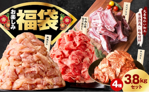肉福袋 4種 3.8kg 焼肉セット（牛肉 切り落とし／牛ハラミ／豚肉 スペアリブ／鶏肉）【氷温熟成×極味付け 焼くだけ 食べ比べ ふくぶくろ お楽しみ 簡単調理】 mrz0328