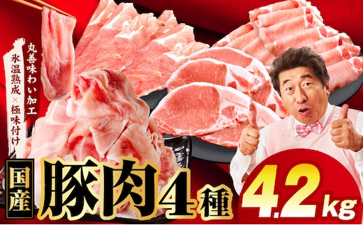 【スピード発送】国産豚肉 4種 福袋 4.2kg【氷温熟成×極味付け 小分け 300gパック ぶたにく 普段使い 野菜炒め 切り落とし まとめ買い 訳あり サイズ不揃い】 mrz0341