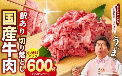 国産牛 切り落とし 600g 小分け 300g×2P【氷温熟成×極味付け 国産 牛肉 訳あり サイズ不揃い カレー 牛丼 野菜炒め 肉じゃが 家計応援】 mrz0360