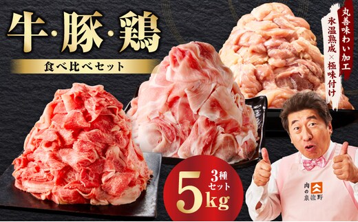 国産 牛肉＆豚肉＆鶏肉セット 5kg【氷温熟成×極味付け 3種 食べ比べ 普段使い 味付き 小分け 訳あり サイズ不揃い 】 mrz0368