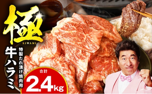 【氷温熟成×特製ダレ】牛肉 ハラミ 2.4kg（300g×8P） mrz0389