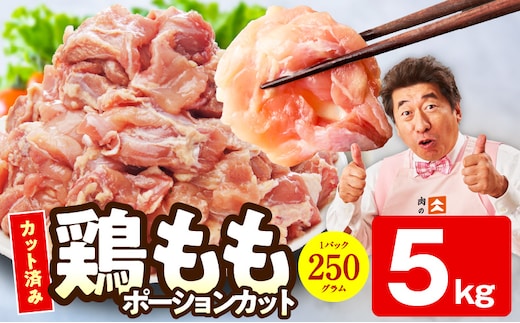 【特別規格】国産 鶏もも肉 切身 5kg 【スピード発送 カット済み 氷温熟成×極味付け 小分け 味付き 簡単調理 訳あり サイズ不揃い 鶏肉 とり 圧倒的企業努力】 mrz0390-1
