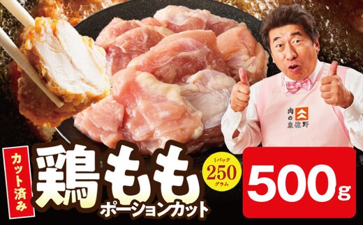 【お試し規格】国産 鶏もも肉 ポーションカット 500g 【カット済み 氷温熟成×極味付け 小分け 味付き 簡単調理 訳あり サイズ不揃い 鶏肉 とり】 mrz0395