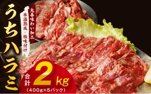 【氷温熟成×特製ダレ】希少部位 牛肉 うちハラミ 2kg（400g×5） mrz0399