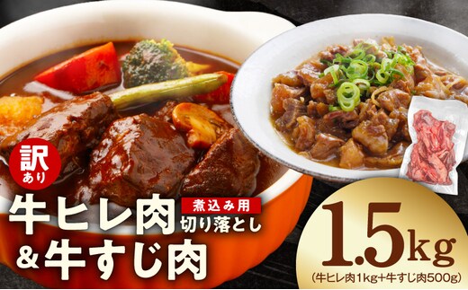 【氷温熟成×極味付け】煮込み用 牛ヒレ肉 切り落とし 1kg＋牛すじ肉 500g 総量1.5kg【訳あり サイズ不揃い 小分け 冷凍 SDGs フードロス カレー 煮込みに】 mrz0418