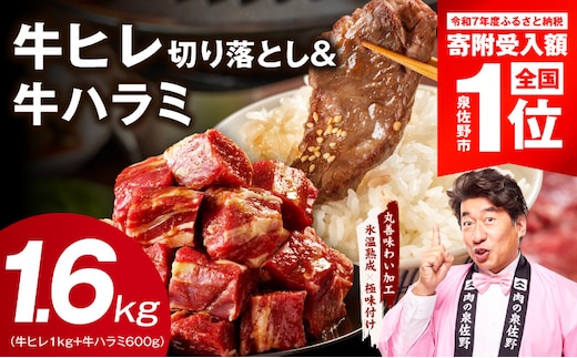 【期間限定】牛ヒレ 1kg＋牛ハラミ 600g 合計1.6kg【スピード発送 氷温熟成×特製ダレ 味付き 訳あり サイズ不揃い 小分け】 mrz0425-1