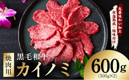 【氷温熟成×極味付け】黒毛和牛 カイノミ 焼肉用 600g【小分け 300g×2P 牛肉 かいのみ 赤身 希少部位】 mrz0445