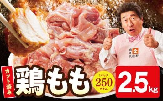 【小分け】国産鶏もも肉 2.5kg（250g×10P） 【カット済み 氷温熟成×極味付け 簡単調理 訳あり サイズ不揃い 鶏肉 とり スピード発送 】 mrz0446