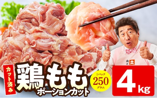 【カット済み】国産 鶏肉もも 4kg【スピード発送 氷温熟成×極味付け 小分け とり もも 簡単調理 唐揚げ 親子丼 家計応援 大阪 泉佐野 大阪府 泉佐野市】 mrz0498