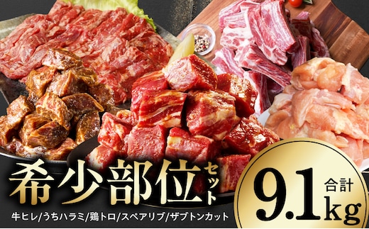 【氷温熟成×極味付け/特製ダレ】希少部位セット 合計9.1kg【小分け 希少部位 ヒレ 鶏肉 スペアリブ はらみ ハラミ 牛肉 焼肉 BBQ 簡単調理 味付き】 mrz0505