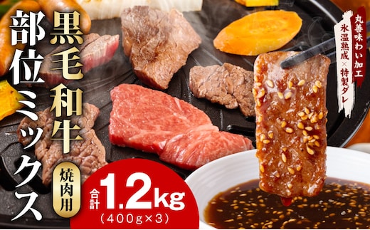 【スピード発送】黒毛和牛 部位ミックス 焼肉用 1.2kg【400g×3P 氷温熟成×特製ダレ 小分け 牛肉 黒毛和牛 簡単調理 訳あり】 mrz0509