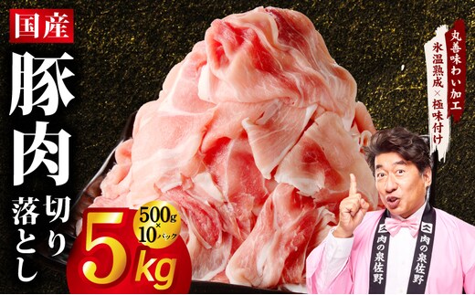 【期間限定】国産 豚肉 切り落とし 5kg【スピード発送 氷温熟成×極味付け 500g×10P ぶたにく 普段使い 野菜炒め 訳あり サイズ不揃い】 mrz0512