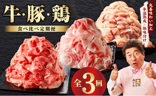 国産 牛肉 豚肉 鶏肉 定期便 3回 総量 4.2kg 【氷温熟成×極味付け 3種 食べ比べ 普段使い 味付き 小分け 訳あり サイズ不揃い 毎月配送コース】 mrzZ017
