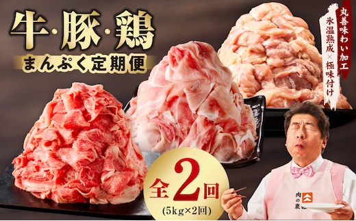 国産 牛肉＆豚肉＆鶏肉 まんぷく 定期便 5kg×2回【氷温熟成×極味付け 3種 食べ比べ 普段使い 味付き 小分け 訳あり サイズ不揃い 毎月配送コース】 mrzZ019