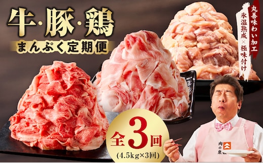 国産 牛肉＆豚肉＆鶏肉 まんぷく 定期便 5kg×3回【氷温熟成×極味付け 3種 食べ比べ 普段使い 味付き 小分け 訳あり サイズ不揃い】 mrzZ020