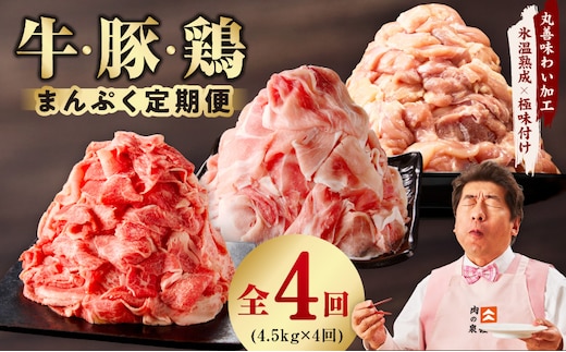 国産 牛肉＆豚肉＆鶏肉 まんぷく 定期便 5kg×4回【氷温熟成×極味付け 3種 食べ比べ 普段使い 味付き 小分け 訳あり サイズ不揃い 】 mrzZ021