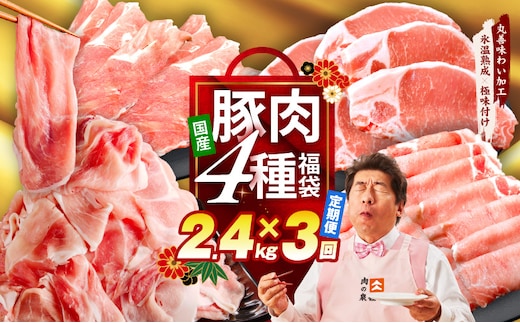 国産豚肉 4種 定期便 2.4kg×3回【氷温熟成×極味付け 小分け 300gパック ぶたにく 普段使い 野菜炒め 切り落とし 毎月配送コース】 mrzZ024
