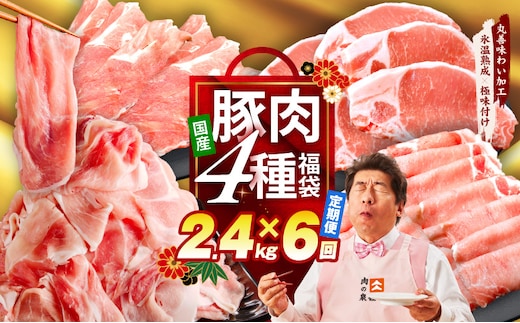 国産豚肉 4種 定期便 2.4kg×6回【氷温熟成×極味付け 小分け 300gパック ぶたにく 普段使い 野菜炒め 切り落とし 毎月配送コース】 mrzZ025