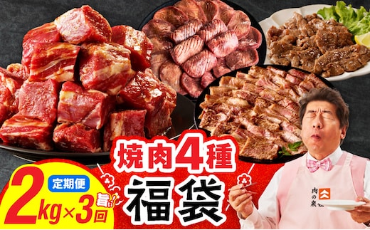 焼肉 福袋 4種セット 定期便 2kg×3回【氷温熟成×特製ダレ 食べ比べ 小分け 500g 牛肉 牛タン ヒレ ハラミ バラ 数量限定 毎月配送コース】 mrzZ027