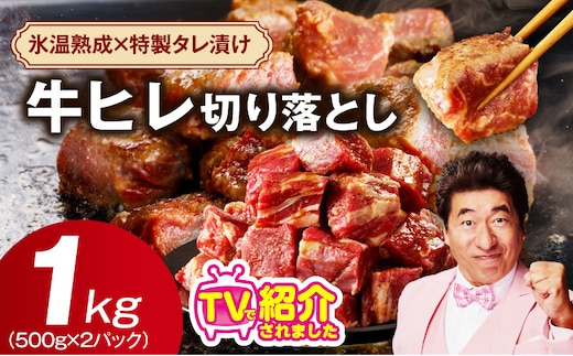 【定期便】牛ヒレ肉 切り落とし 1kg×全2回【小分け 500g×2P 氷温熟成×特製ダレ サイズ不揃い やわらか ステーキ ひと口サイズ カット済み 2026年1月＆4月発送】 mrzZ049