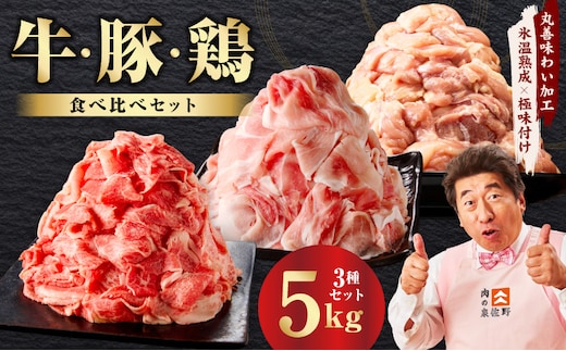 【定期便】国産 牛肉＆豚肉＆鶏肉セット 5kg×全2回【氷温熟成×極味付け 3種 食べ比べ 普段使い 味付き 小分け 訳あり サイズ不揃い 2026年2月＆5月発送】 mrzZ083