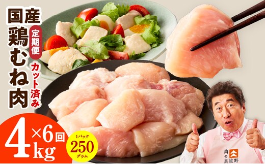 【カット済み】国産 鶏むね肉 定期便 4kg 全6回【氷温熟成×極味付け 小分け 250g×16P 鶏肉 とり 簡単調理 唐揚げ 親子丼 冷凍】 mrzZ101