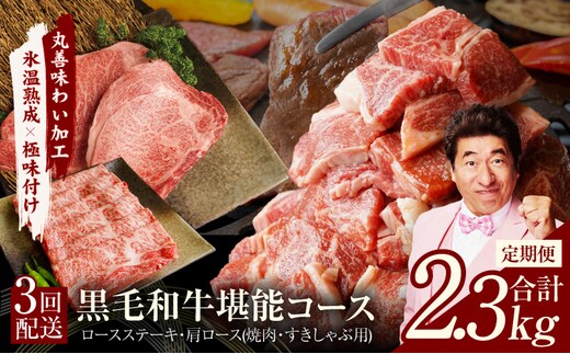 黒毛和牛 定期便 全3回 （ステーキ／すき焼き・しゃぶしゃぶ／焼肉）堪能コース 丸善味わい加工【毎月配送コース】 mrzZ003