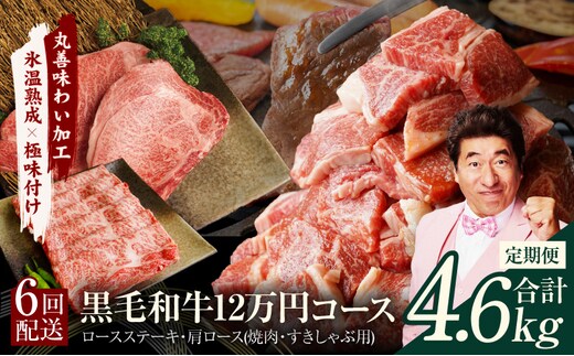 黒毛和牛 定期便 全6回 （ステーキ／焼肉／すき焼き・しゃぶしゃぶ） 12万円コース 丸善味わい加工【毎月配送コース】 mrzZ004