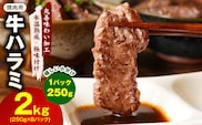 【氷温熟成×極味付け】牛肉 ハラミ 2kg（250g×8P） mrz0387