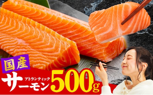 国産アトランティックサーモン 500g ポーション【小分け 真空パック 訳あり サイズ不揃い 刺身 海鮮丼 さーもん 鮭 さけ シャケ しゃけ 冷凍】 nbj0010