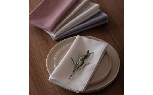 ナプキン eterble fabric Desir Napkin／エターブルファブリック デジー スノー wsg0068