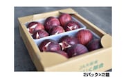 いちじく 朝採り 【2026年配送】　約2kg No.141