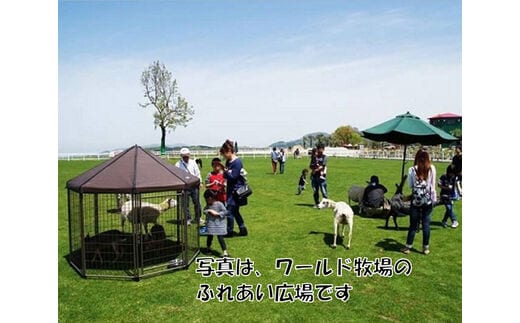 ワールド牧場入場無料券ペア1組 No.177