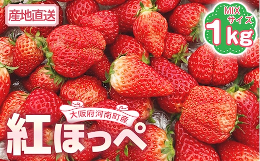 【紅ほっぺ】MIX（サイズいろいろ）1kg程度 No.257