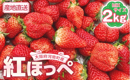 【紅ほっぺ】MIX（サイズいろいろ）2kg程度 No.260