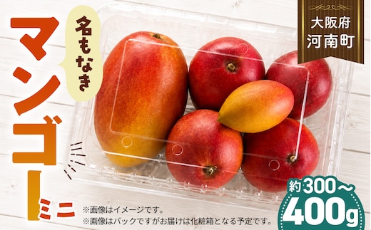 名もなきマンゴー ミニ 詰め合わせ 約300～400g 大きさ不揃い No.369
