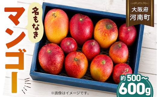 名もなきマンゴー 詰め合わせ 約500～600g 大きさ不揃い No.371