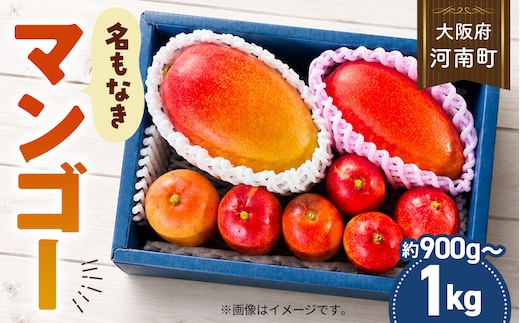 名もなきマンゴー 詰め合わせ 約900g～1kg 大きさ不揃い No.374