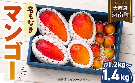 名もなきマンゴー 詰め合わせ 約1.2～1.4kg 大きさ不揃い No.375