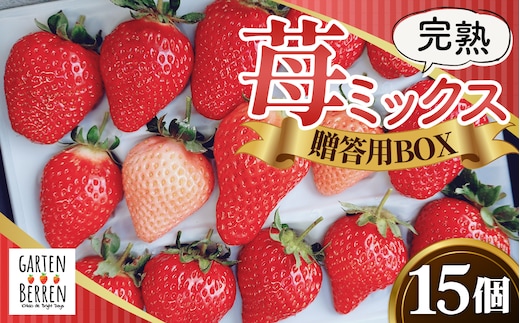 完熟苺ミックス15粒贈答用BOX No.399