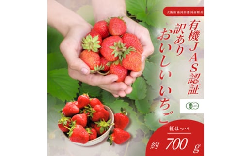 訳あり おいしいいちご 有機JAS認証いちご 700g 36粒 No.406