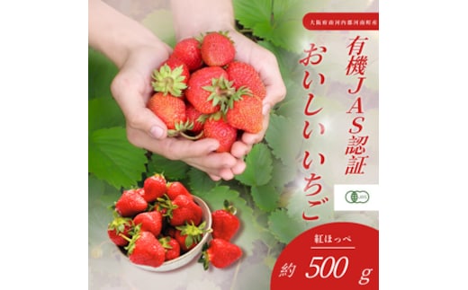 おいしいいちご 有機JAS認証いちご 500g 24粒 No.407