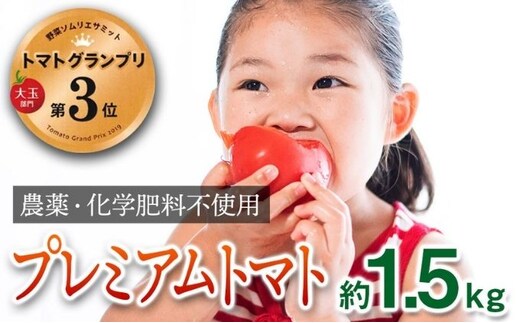 【トマトGP受賞】栽培期間中農薬化学肥料不使用 こだわりのプレミアムトマト 約1.5kg 野菜 