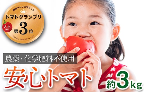 【トマトGP受賞】栽培期間中農薬化学肥料不使用 こだわりのプレミアムトマト 約3kg 野菜 