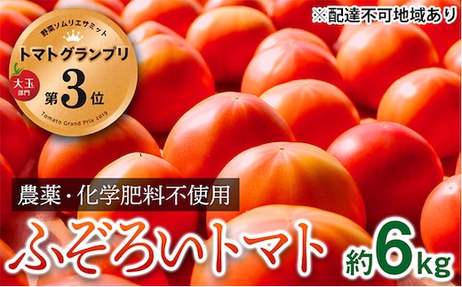 【トマトGP受賞】栽培期間中農薬化学肥料不使用 お得なプレミアムトマト ふぞろい約6kg 野菜 